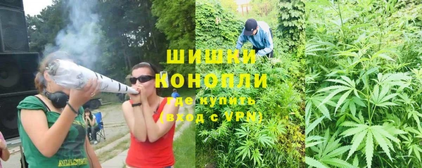 spice Кодинск