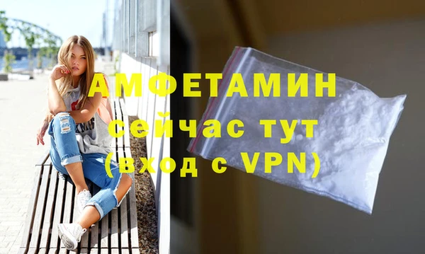 сатива Кинешма
